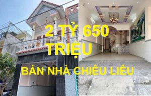 Bán nhà khu phố Chiêu Liêu Dĩ An 1 trệt 1 lầu